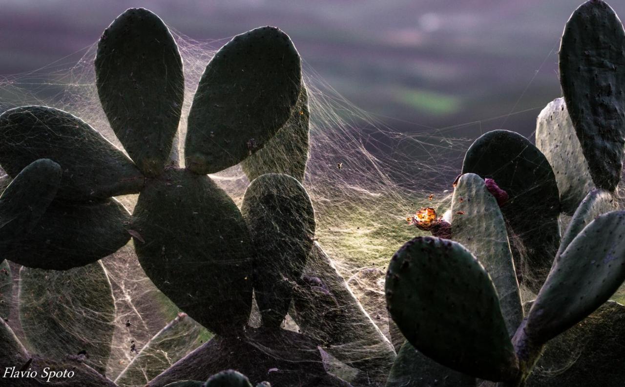Giardino Di Persefone 호텔 아그리젠토 외부 사진